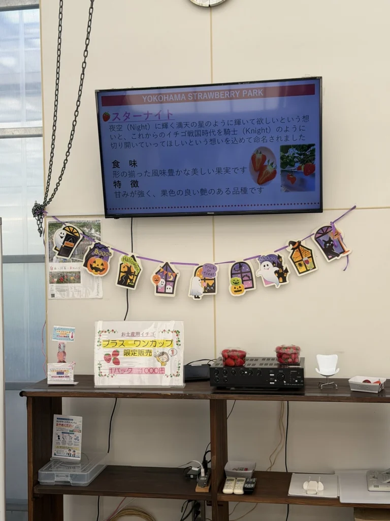 お土産用イチゴ プラスワンカップ 1パック1000円の案内とテレビの品種紹介