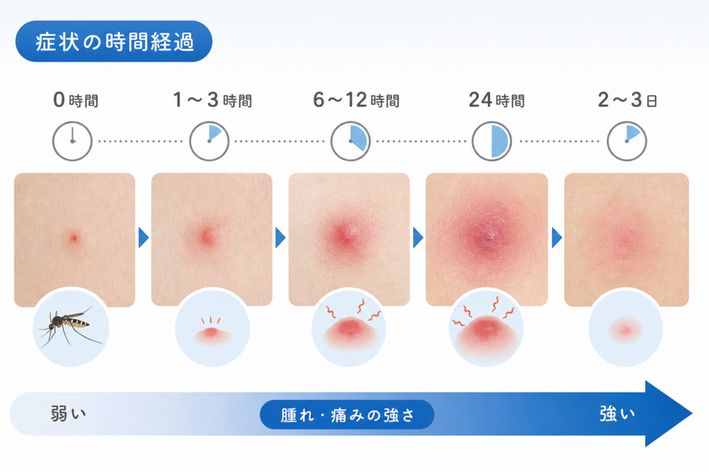 アブに刺された症状と腫れ・痛みのピークまでの時間経過